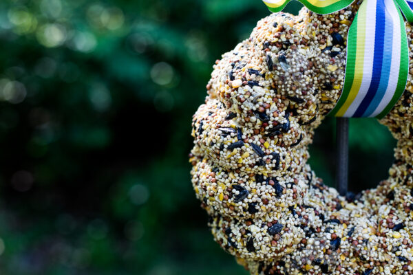 Bird seed wreath with multicolored bow
